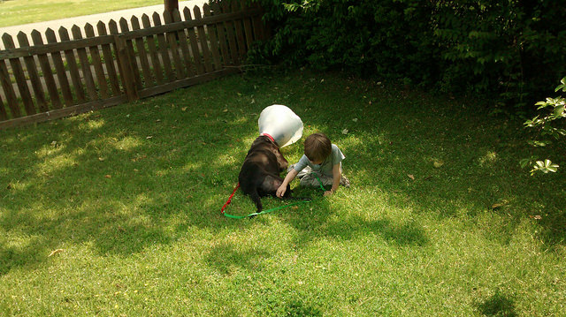 A boy and his dog. (Plus an evil hedge that attacked me.)