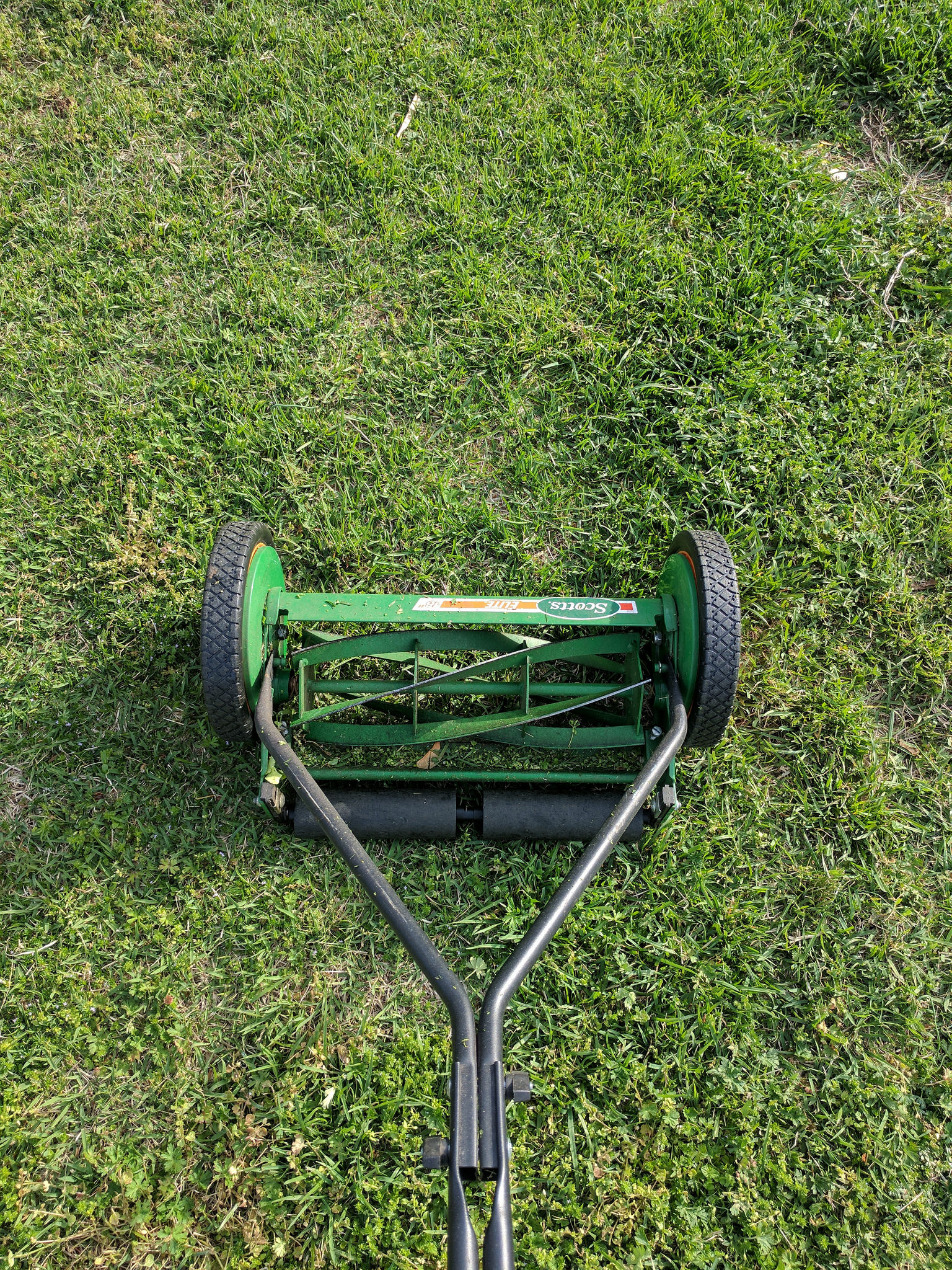 A reel lawn mower