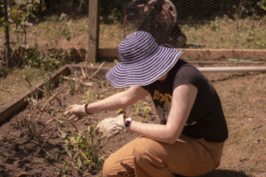 Christy working in her garden, pulling weeds. She is wearing a blue-and-white-striped sun hat, a black t-shirt, and khaki pants. Her face is obscured by the hat. 